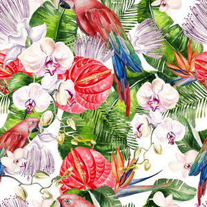 美丽的水彩无缝, 热带丛林花卉图案背景与棕榈叶, 玫瑰花, antharium, 鹤和鹦鹉