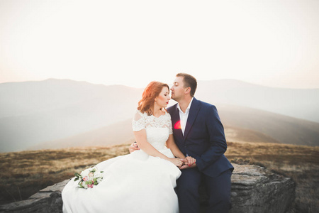 幸福的新婚夫妇构成在山的美丽景色