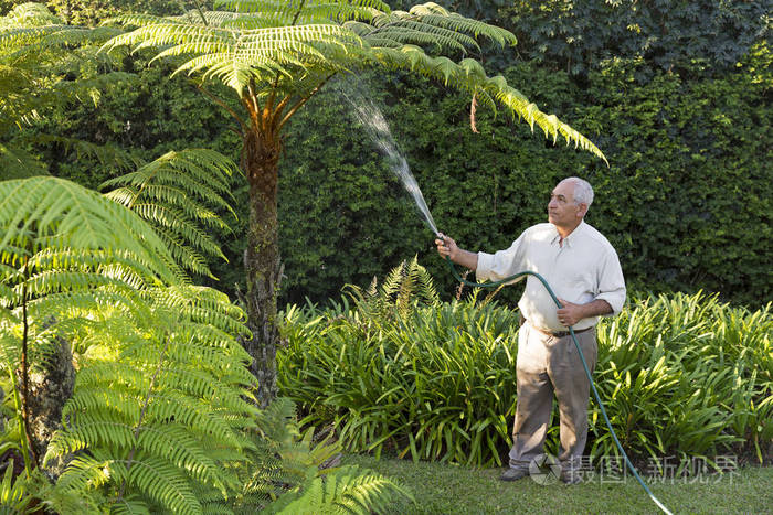 在花园里用软管浇水的高级人