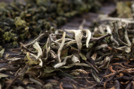 不同种类的茶干树叶图片