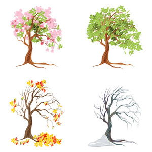 一棵树一年四季的变化图片