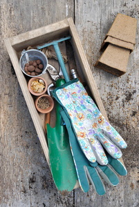 手套和园艺工具