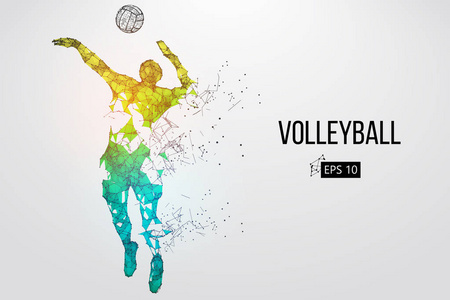 排球的插图图片-排球的插图素材-排球的插图插画-摄图新视界