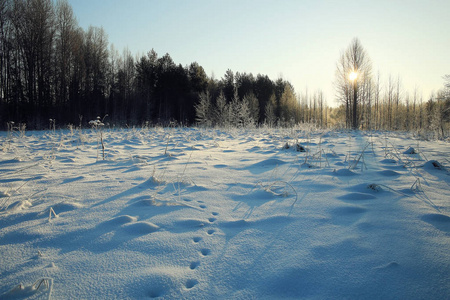 白雪皑皑的冬天风景
