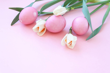 复活节彩蛋和春天的花朵水仙粉红色背景