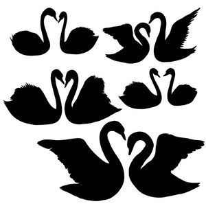 组的天鹅剪影照片