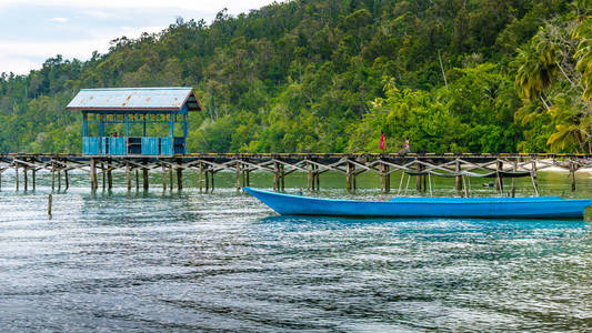 Gam 岛，西巴布亚，Raja Ampat，印度尼西亚当地村庄的木码头