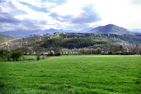 春天的风景。中部巴尔干保加利亚