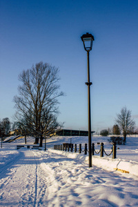 晴朗的一天, 公园里一棵树和元宵节的冬天的照片