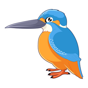 卡通笑翠鸟照片