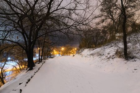 雪覆盖路径由街灯点燃