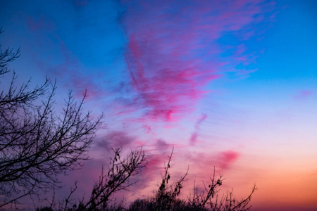 夕阳下的红云, 透过树枝在蓝天上2018
