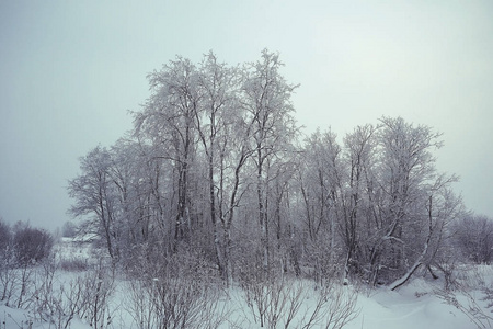 俄罗斯冬季景观
