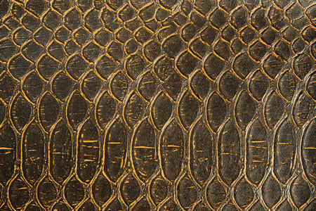 作为背景或质地的蛇皮碎片.抽象照片