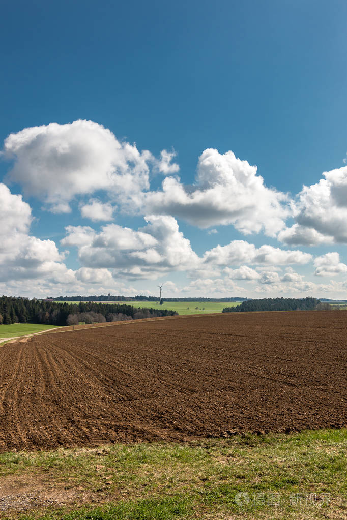 肥沃的土壤绿色的森林和风力的大棕地里