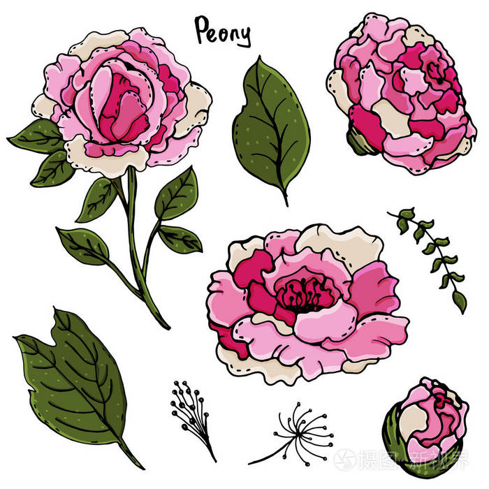 美丽的花朵.手动绘图.春天.一组植物.为明信片, 盖子.在衣服上打印