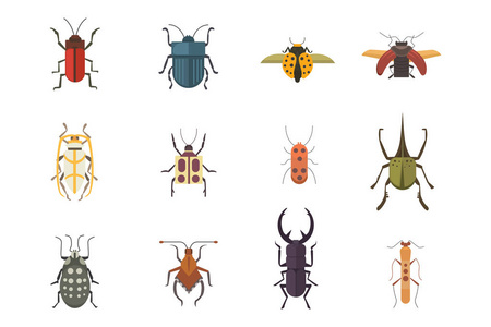 昆虫平面样式矢量设计图标集。集合性质的甲虫和动物学卡通插图。错误图标野生动物概念