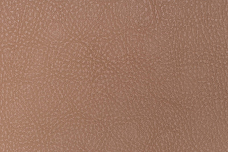 浅褐色皮革纹理表面。自然谷物 c 的特写