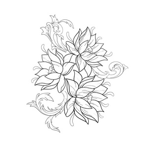 图表剪影的荷花在白色背景上的装饰照片