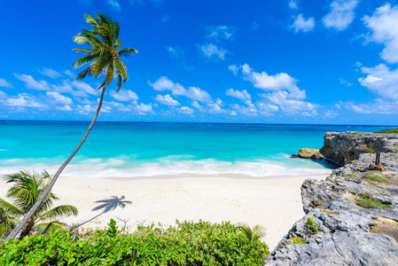 巴巴多斯岛, 底湾, 巴巴多斯, 加勒比天堂海滩