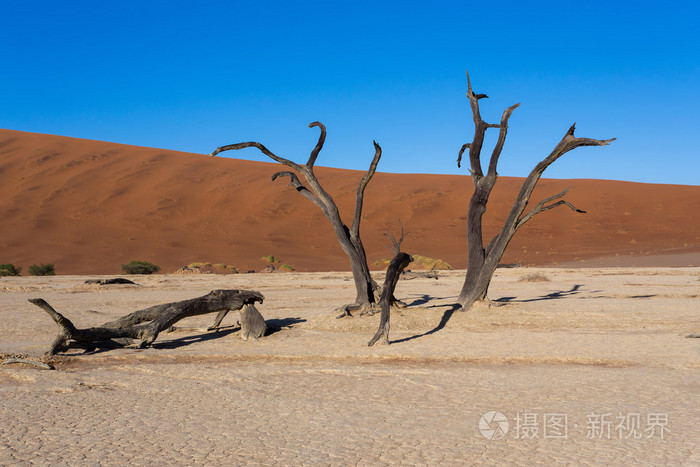 美丽的风景的隐藏湖在纳米布沙漠全景