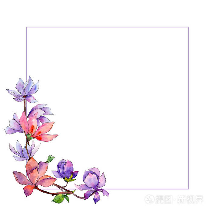 玉兰花框水彩风格