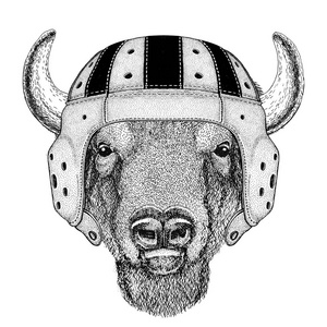 水牛，野牛 牛，公牛野生动物穿橄榄球头盔运动图