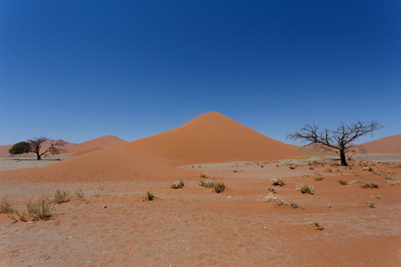 在 sossusvlei 纳米比亚与死树沙丘 45