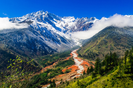 山 GonggaMinya Konka 1 号冰川特写。在图片中的砾石是冰川表面。采取在中国四川的海螺沟山谷 海螺沟