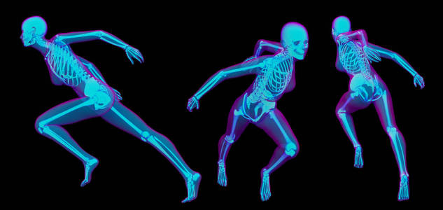 3d. 绘制骨骼的医学插图