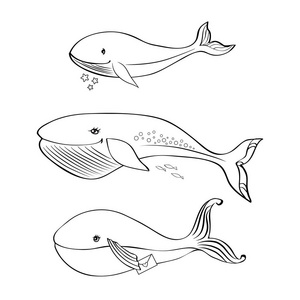 抹香鲸简笔画图片