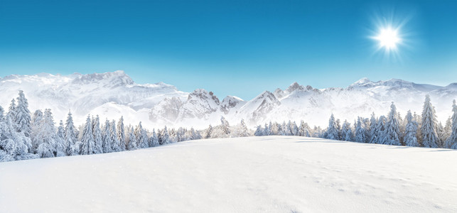 白雪皑皑的冬天风景