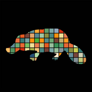 鸭嘴兽哺乳动物颜色剪影动物照片