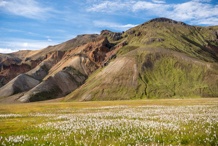 Fjallabak 自然保护区的 Landmannalaugar 山。冰岛