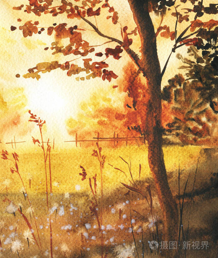 夕阳中美丽的秋树水彩画