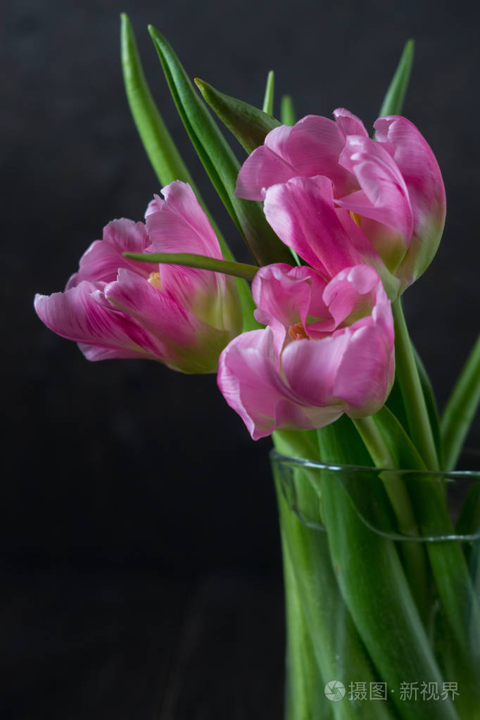 在一个玻璃瓶中的粉红色的花郁金香