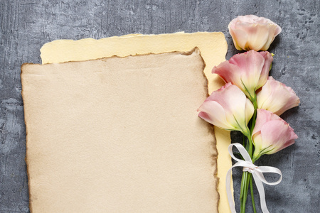 桔梗壁纸摄影图 桔梗壁纸图片大全 桔梗壁纸照片 摄图新视界