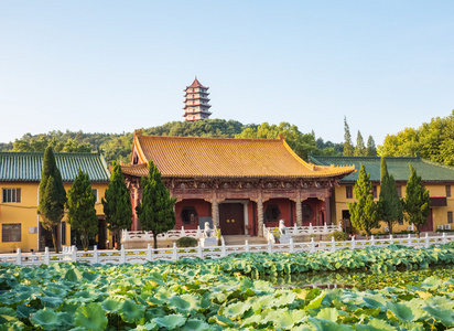 在九江东林寺图片