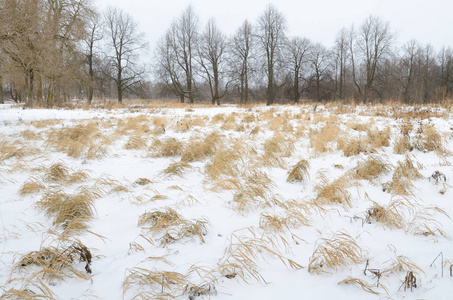 白雪公主的冬日风景