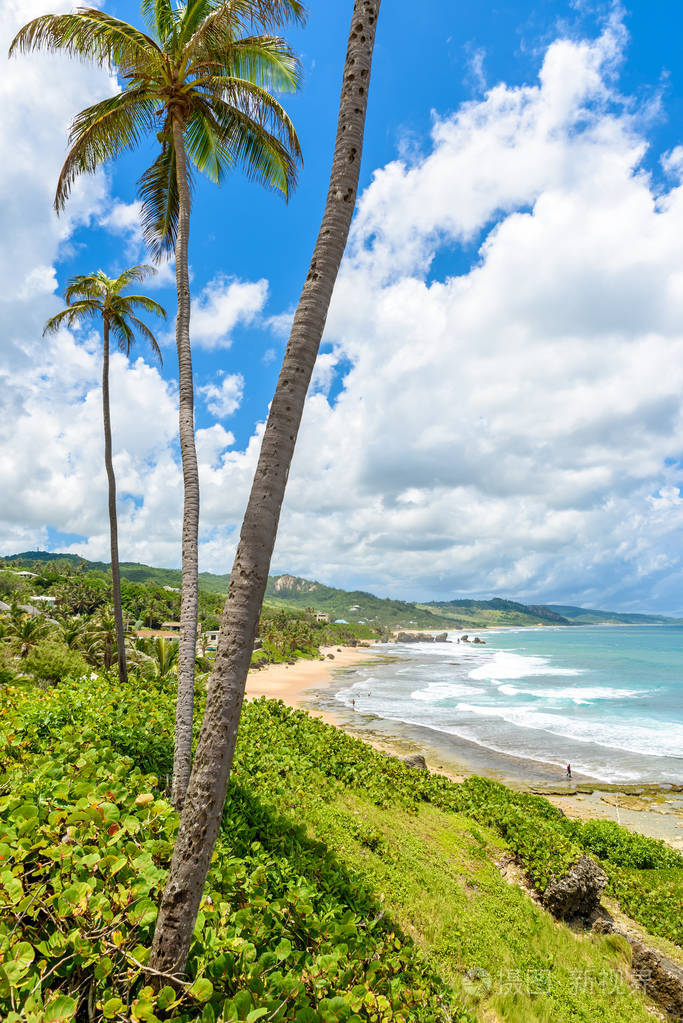 加勒比巴巴多斯岛东海岸的拔示巴海滩上有棕榈石和石头的沿海线