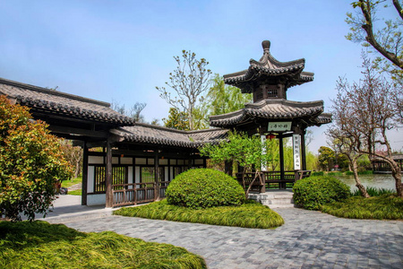 扬州瘦西湖上花园水边扬州瘦西湖花园郁金香花的景观设计扬州的瘦西湖