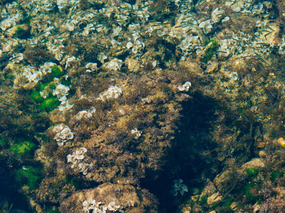 蔚蓝的海水在黑山