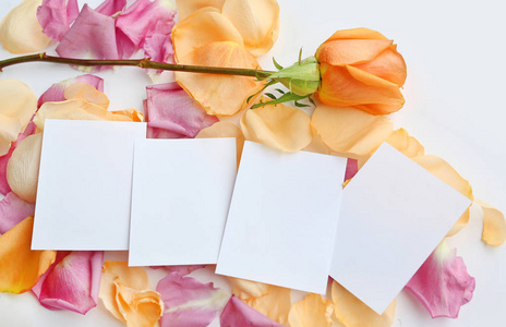 玫瑰花朵与花瓣上木空信纸