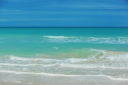 大西洋沿岸, 有一滩绿松石的海洋。巴拉德罗, 幼崽