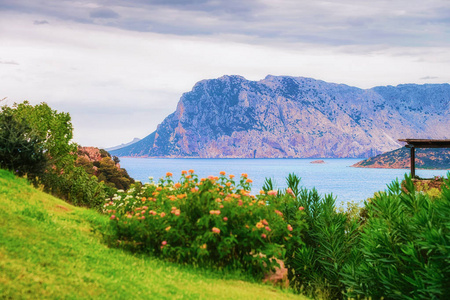 Tavolara 岛马拉泰斯提撒丁岛的圣。