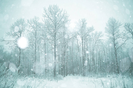 白雪皑皑的冬季风景