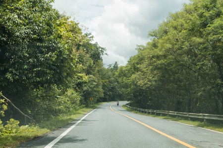 泰国清迈 km37.3 国家公园森林路