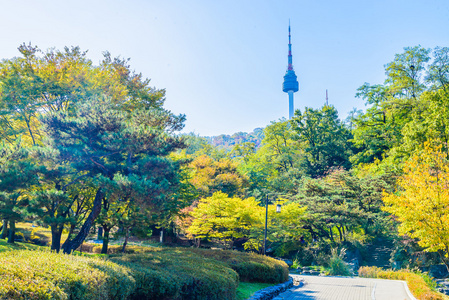 在首尔市首尔塔