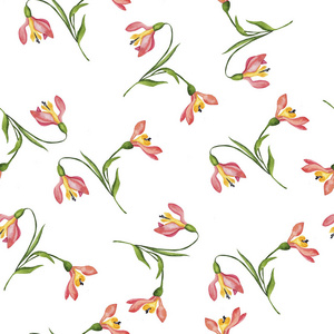 白色背景下的野生粉红色花卉水彩画无缝图案