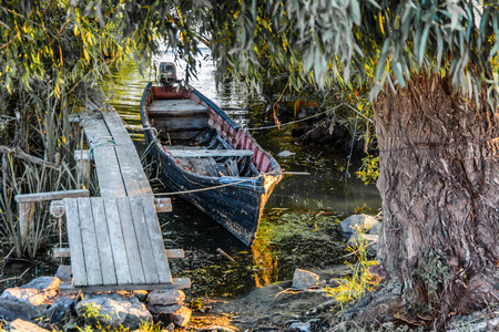 在树林里码头上的旧船。乡村景观与木材